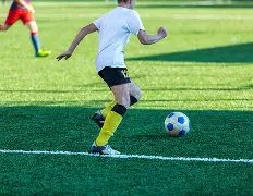 诺维茨基荣,膺德国联邦,十字勋章,B体育平台,B体育官方网站,B体育登录入口,B体育app下载