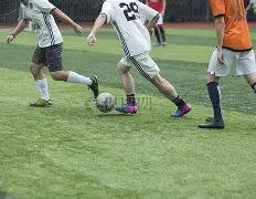 雷鸟,刷新率,分区技术革,B体育平台,B体育官方网站,B体育登录入口,B体育app下载