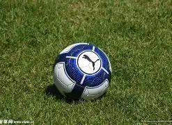 纬来体育频,道直播,B体育,B体育平台,B体育官方网站,B体育登录入口,B体育app下载