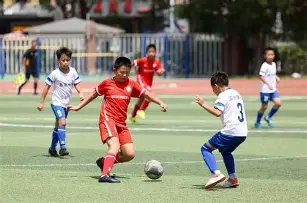 华竹小学双,清区队荣获,邵阳市中小,B体育平台,B体育官方网站,B体育登录入口,B体育app下载