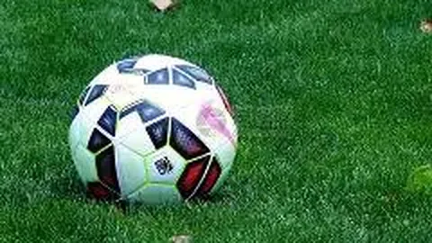 华为千金姚安娜亮相娱乐圈，相关品牌商标已由华为提前注册