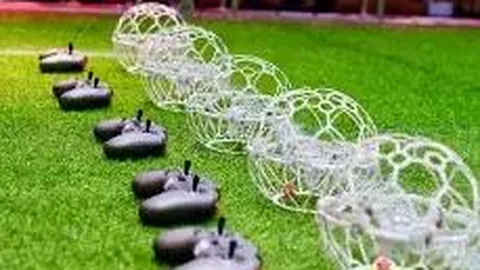 B体育 资讯 095018 dr0