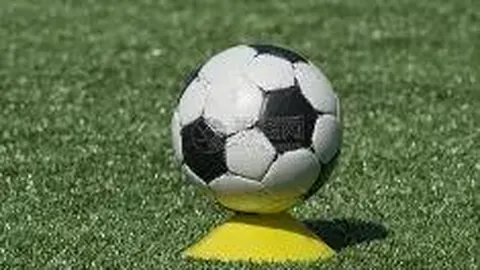 B体育 资讯 094509 yt5